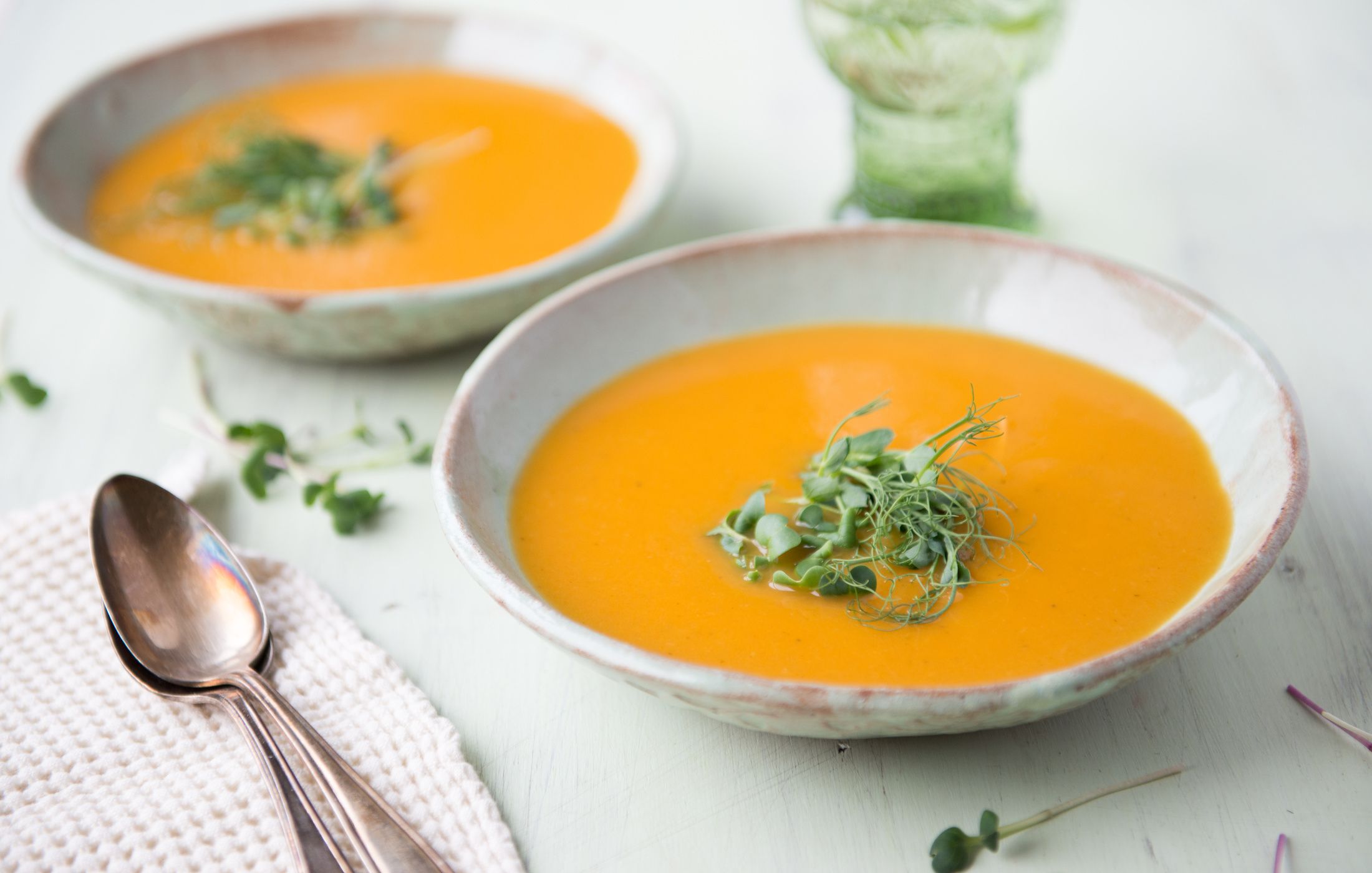 Creamy Carrot Fennel Soup-2